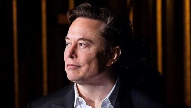 بیوگرافی ایلان ماسک، ایلان ماسک