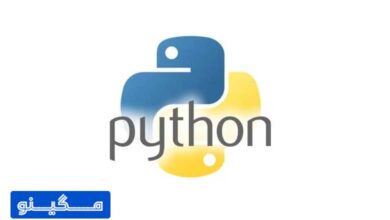 همه چیز در مورد زبان برنامه‌نویسی پایتون